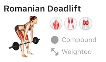 Romanian Deadlift exercise card shared in Bench chat