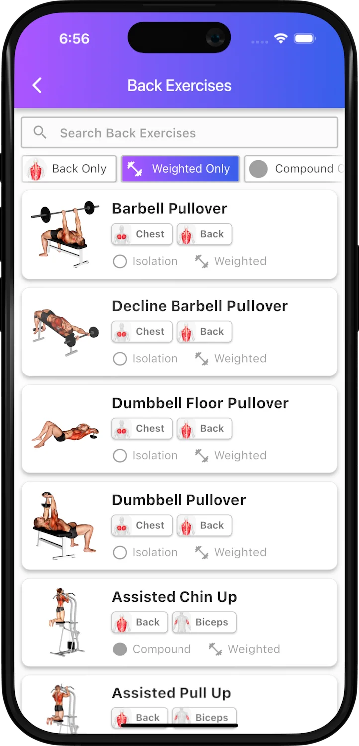 Bench exercise library organized by muscle group